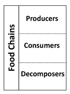 the food groups label is shown in black and white, with words describing what consumers are buying