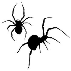 two black spider silhouettes on a white background