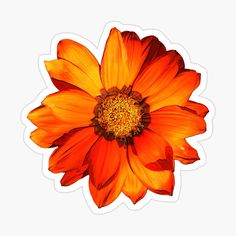 an orange flower with yellow stamens is shown in the center of this sticker