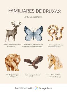 some animals that are grouped together in the same language, and one has an animal on it