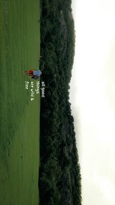 an aerial view of a grassy field with trees in the background and two people walking on it