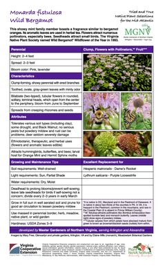 an information sheet with pictures of plants and flowers