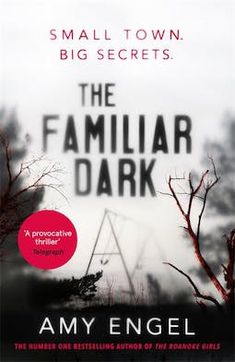 the familiar dark by andy engel, small town big secrets book club paperback cover