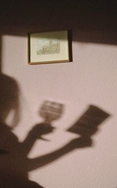 the shadow of a person standing in front of a wall with a painting on it