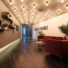 an office lobby with red couches and potted plants