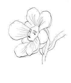 a black and white drawing of a flower with leaves on the bottom, it looks like an orchid