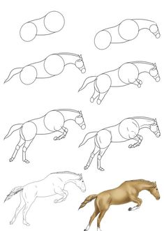 how to draw a horse step by step instructions for beginners and advanced drawing students