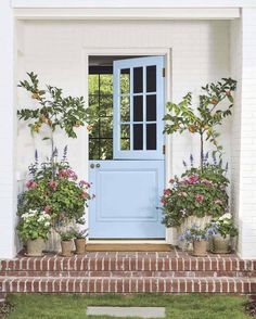 a blue front door surrounded by potted plants