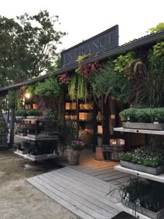 an outdoor garden store with lots of potted plants