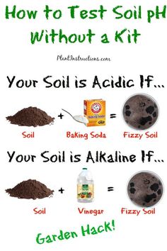 how to test soil ph without a kit for your soil is alkaine if