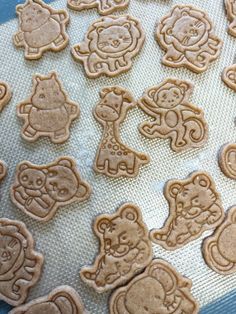 some cookies are on a cookie sheet and ready to be cut into pieces for decoration