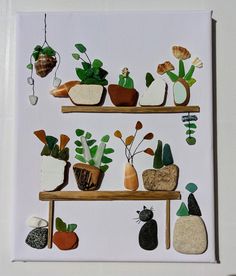 some plants and rocks are sitting on shelves