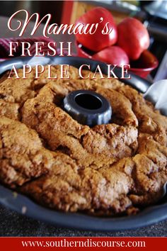 Best Apple Bundt Cake Recipe Ever, Apple Pound Cake Recipes Moist, Grandmas Apple Cake Recipe, Apple Bunt Cakes Recipe, Apple Bundt Cake Recipes Easy, Super Moist Apple Cake, Mountain Apple Cake, Fresh Apple Bundt Cake Recipes, Apple Pumpkin Bundt Cake Recipes