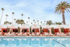 an outdoor pool with chairs and umbrellas next to it, surrounded by palm trees