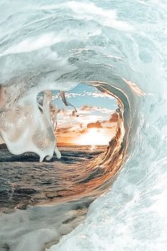 an animal is seen through the inside of a wave