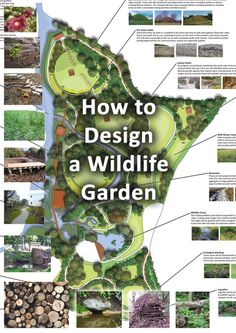 the diagram shows how to design a wildlife garden with trees, shrubs and other plants