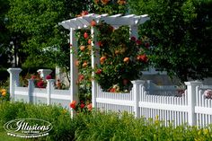 a white picket fence with roses growing on it