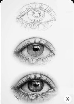 three different types of eyes are shown in this drawing