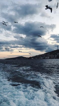 seagulls flying over the ocean on a cloudy day