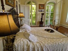 a cat laying on top of a white bed in a bedroom