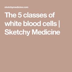 the 5 classes of white blood cells i sketchy medicine