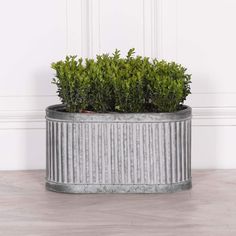 a metal planter filled with green plants on top of a wooden floor next to a white wall