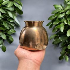 a hand holding a brass vase in front of some green plants