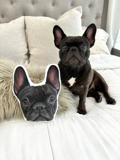 a black dog sitting on top of a bed next to a pillow with a french bulldog face