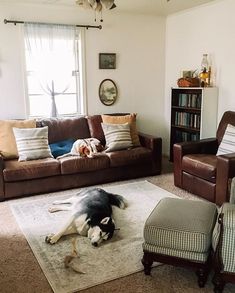 a dog laying on top of a rug in a living room next to two chairs