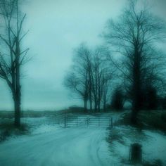 the road is covered in snow and trees