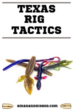 several different types of fishing lures with the words texas rig tactics