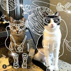 two cats sitting next to each other in front of a mirror with drawings on it