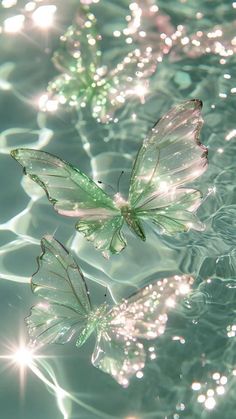 two butterflies floating on top of water in the sunlit waterside, with bubbles all around them