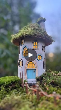 a small house with a green roof and windows on top of moss covered ground in front of trees