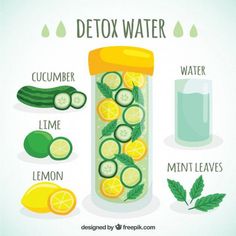 Download this Premium Vector about Detox water, and discover more than 156 Million Professional Graphic Resources on Freepik Makanan Rendah Kalori, Motivasi Diet, Resep Smoothie, Homemade Detox Drinks, Lemon Detox, Homemade Detox, Natural Detox Drinks, Resep Diet, Smoothie Detox