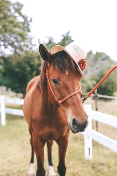 DTKAustin shares three of her favorite Kentucky Derby inspired looks. Whether you are going to a Derby party or the Derby itself, you are set with these fascinating hats and accessories. || Dressed to Kill #kentuckyderby #derby #derbylooks #kentuckyderbyhat #DIYDerbyHat Derby Aesthetic, Kentucky Derby Dresses, Birthday Horse, Kentucky Derby Dress, Austin Fashion, Derby Time, Fun Hats, Austin Style, Horse Dress