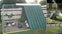 several pictures of the inside of a chicken coop