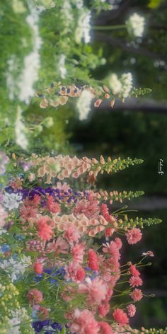 some pink and blue flowers are in the grass