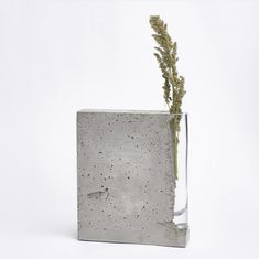 a concrete block with a plant sticking out of it's center, against a white background