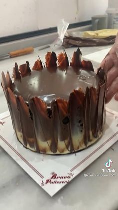 someone is decorating a cake with chocolate icing