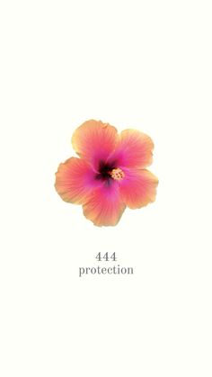 a pink flower is shown with the words protection on it and an orange flower in the middle