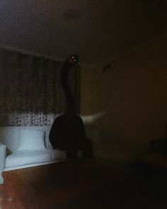 a giraffe standing in the middle of a living room next to a couch