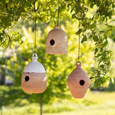 three bird houses hanging from a tree branch