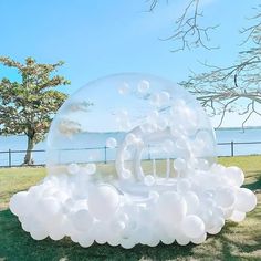 an inflatable bubble boat is sitting on the grass next to some trees and water