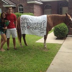 two girls standing next to a horse with a sign on it's back that says, i amexc so excited @ alexcoll view all 24 comments