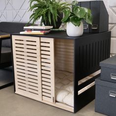 a plant is sitting on top of a cabinet next to two boxes and a chair