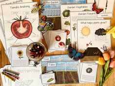 the garden life cycle worksheets are organized on a table