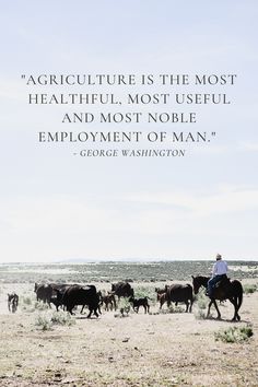 a man riding on the back of a horse next to a herd of cattle with a quote from george washington