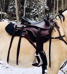 two horses standing next to each other in the snow