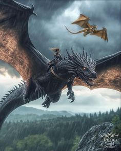 a black dragon flying over a forest next to a tall rock formation with a man on it's back